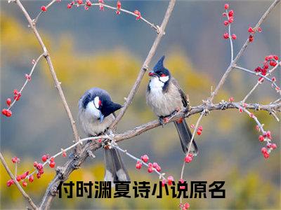 付时渊夏诗热门榜单小说 付时渊夏诗完本小说无弹窗免费阅读