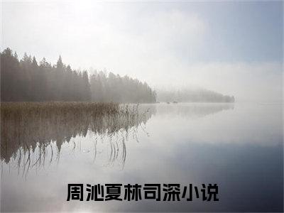 周沁夏林司深（周沁夏林司深）全文免费阅读无弹窗大结局_(周沁夏林司深免费阅读)最新章节列表_笔趣阁