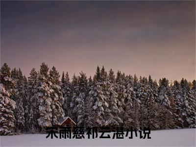 宋雨慈祁云湛小说免费阅读-宋雨慈祁云湛最新章节小说阅读-笔趣阁