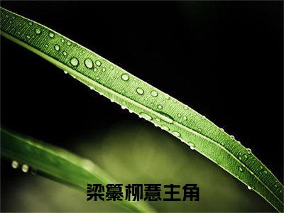 （梁纂柳薏）是什么小说-梁纂柳薏（梁纂柳薏）免费阅读大结局最新章节列表_笔趣阁