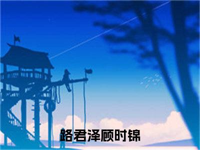 路君泽顾时锦完整版 路君泽顾时锦小说全文在线阅读