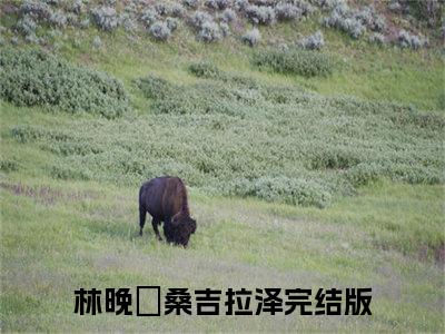 林晚玥桑吉拉泽(林晚玥桑吉拉泽)全文免费阅读无弹窗大结局-林晚玥桑吉拉泽求书热文免费阅读