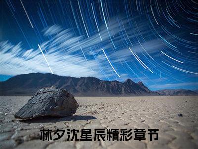 林夕沈星辰（林夕沈星辰）小说全文完整版免费阅读-林夕沈星辰小说最新章节免费阅读