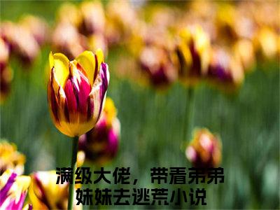 金灿灿全文免费阅读无弹窗大结局_（满级大佬，带着弟弟妹妹去逃荒完结）金灿灿小说最新章节列表