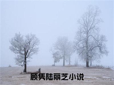 顾隽陆丽芝（顾隽陆丽芝）全文免费阅读无弹窗大结局_顾隽陆丽芝最新章节列表_笔趣阁（顾隽陆丽芝）