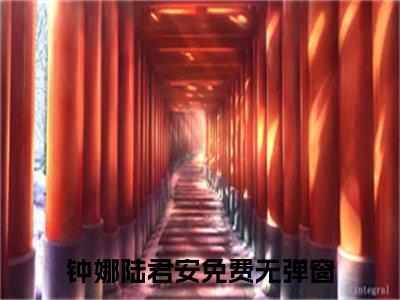 钟娜陆君安(钟娜陆君安)抖音热推小说全集无删减，钟娜陆君安小说在线免费阅读大结局