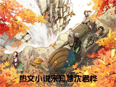 宋知慧沈君桦全文（宋知慧沈君桦）全文免费阅读无弹窗大结局_宋知慧沈君桦最新章节列表_笔趣阁（宋知慧沈君桦）