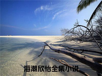 海潮欣怡海潮欣怡免费阅读大结局无弹窗-海潮欣怡小说推荐海潮欣怡精彩章节在线阅读