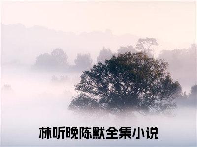 主角是爱意将散的小说叫什么名字林听晚陈默小说免费阅读