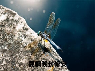 夏桐晚封修安（夏桐晚封修安）小说全文免费阅读无弹窗大结局_（夏桐晚封修安免费阅读）夏桐晚封修安最新章节列表笔趣阁