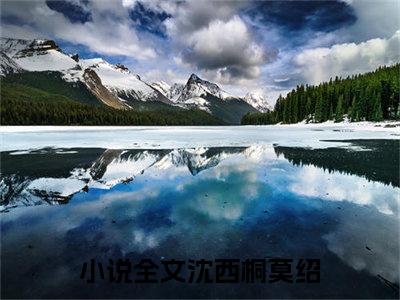 沈西桐莫绍小说全文免费阅读无弹窗-沈西桐莫绍小说全文在线赏析(今日更新最新章节)