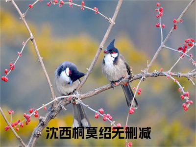 沈西桐莫绍（沈西桐莫绍）全文免费阅读无弹窗大结局_沈西桐莫绍最新章节列表_笔趣阁（沈西桐莫绍）