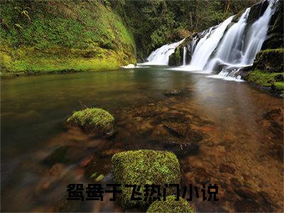 丰锦衣陆归（鸳鸯于飞）免费阅读_鸳鸯于飞小说免费阅读-笔趣阁