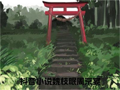 （热推新书）《魏枝眠周京宴》全文免费阅读最新章节大结局-要命！被京圈太子爷强取豪夺无弹窗阅读