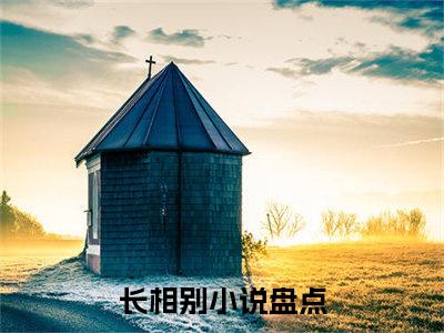 （热推新书）《季景晟沈颀》全文免费阅读无弹窗大结局-长相别无弹窗阅读