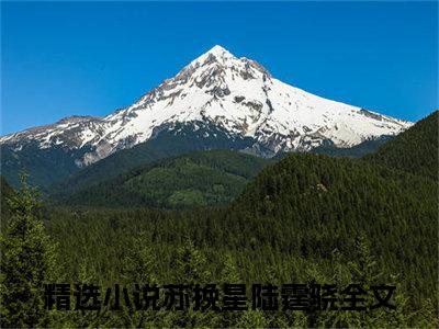 《苏挽星陆霆骁》全文免费阅读无弹窗大结局_苏挽星陆霆骁无弹窗全文阅读