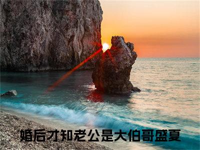 婚后才知老公是大伯哥盛夏(婚后才知老公是大伯哥盛夏小说)全文免费阅读无弹窗大结局_(婚后才知老公是大伯哥盛夏小说免费阅读全文大结局)最新章节列表_笔趣阁（婚后才知老公是大伯哥盛夏小说）