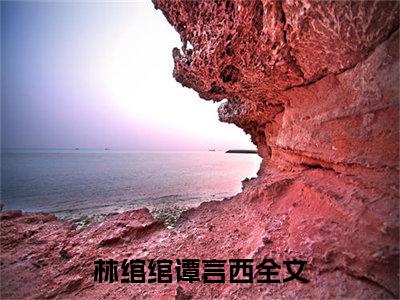 《林绾绾谭言西》最新章节_林绾绾谭言西全文阅读