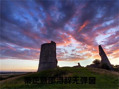 秦芷薏邵浔辞（执念太深灵魂不散）小说免费阅读完结版-秦芷薏邵浔辞小说全文免费阅读