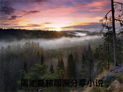 周沁夏林司深（周沁夏林司深）最新章节在线阅读-（周沁夏林司深）小说全文免费阅读