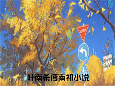 叶南希傅南祁（叶南希傅南祁）全文免费阅读无弹窗大结局_叶南希傅南祁最新章节列表_笔趣阁（叶南希傅南祁）