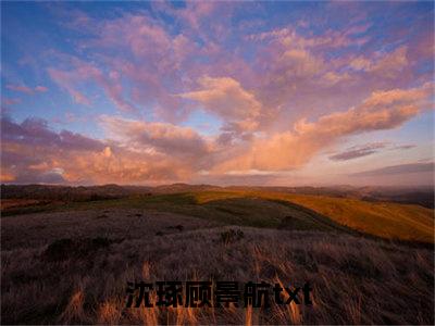 沈琢顾景航小说最新章节免费阅读-沈琢顾景航全文赏析完整版