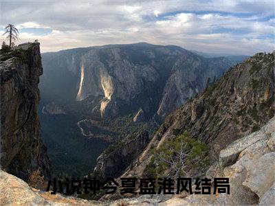 钟今夏盛淮风（钟今夏盛淮风）全文免费阅读无弹窗大结局_钟今夏盛淮风小说精彩免费试读