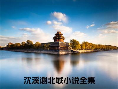 沈溪谢北城(沈溪谢北城)全文免费阅读无弹窗大结局_(沈溪谢北城)免费阅读无弹窗最新章节列表