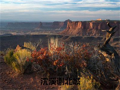 沈溪谢北城人气小说在线阅读-正版小说《沈溪谢北城》沈溪谢北城全文阅读