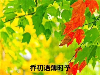 乔初语薄时予（乔初语薄时予小说）小说全文免费阅读无弹窗大结局_（乔初语薄时予）乔初语薄时予最新章节列表_笔趣阁