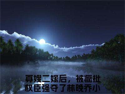 寡嫂二嫁后，被疯批权臣强夺了林晚乔（寡嫂二嫁后，被疯批权臣强夺了林晚乔）最新章节阅读-寡嫂二嫁后，被疯批权臣强夺了林晚乔无广告在线阅读