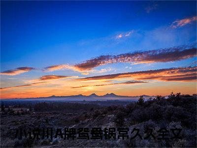 川A牌鸳鸯锅常久久(川A牌鸳鸯锅常久久)全文免费阅读无弹窗大结局_(川A牌鸳鸯锅常久久免费阅读全文大结局)最新章节列表