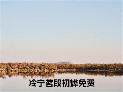 冷宁茗段初烨（冷宁茗段初烨免费阅读无弹窗）-冷宁茗段初烨最新章节列表冷宁茗段初烨全文无删减版