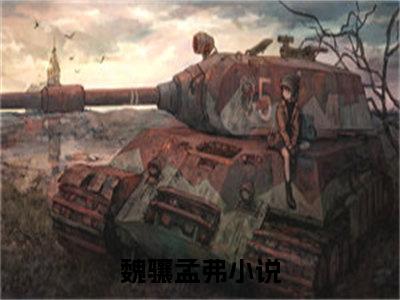 小说《魏骧孟弗》全文免费阅读无弹窗-莫道君侯不折腰，卿卿她人比花娇小说全文在线赏析_笔趣阁