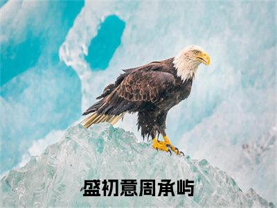 盛初意周承屿小说在线阅读（盛初意周承屿）全文免费阅读无弹窗大结局_盛初意周承屿小说免费最新章节列表_笔趣阁（盛初意周承屿）