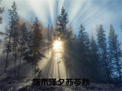 端木泽夕苏芩秋全文（被休重生后，我给前夫当祖母小说）全文免费阅读无弹窗大结局_端木泽夕苏芩秋免费最新章节列表_笔趣阁（被休重生后，我给前夫当祖母小说）