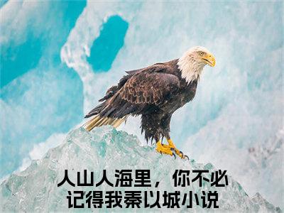 人山人海里，你不必记得我秦以城全文免费 人山人海里，你不必记得我秦以城在线阅读