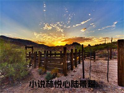 林悦心陆景琛（林悦心陆景琛）全文免费阅读-小说林悦心陆景琛最新章节阅读笔趣阁