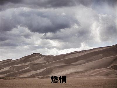 阮茉贺景年全文免费阅读（燃情免费阅读无弹窗）阮茉贺景年最新章节列表_笔趣阁