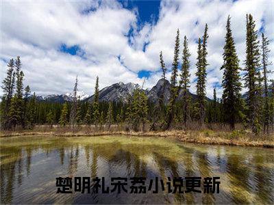 抖音小说（楚明礼宋荔）主角是（楚明礼宋荔）全文完整版免费阅读最新章节列表_笔趣阁