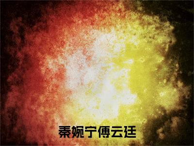 秦婉宁傅云廷全文免费阅读无弹窗大结局-秦婉宁傅云廷小说在哪里可以看