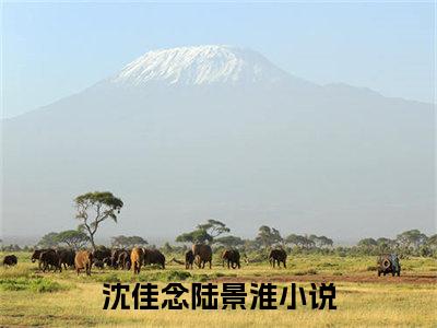 沈佳念陆景淮小说好看吗-沈佳念陆景淮最后结局如何（沈佳念陆景淮）在线赏析全文