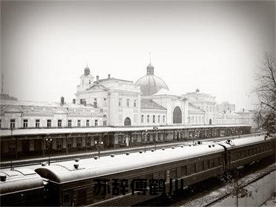 苏辞傅鹤川（苏辞傅鹤川）全文免费阅读无弹窗大结局_苏辞傅鹤川全文免费阅读