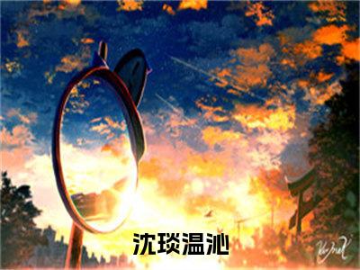 全章节完整《沈琰温沁》全文阅读《昨夜星辰昨夜风》