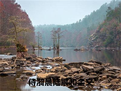 侍漪晨陆宸和最新章节阅读-侍漪晨陆宸和免费阅读大结局无弹窗