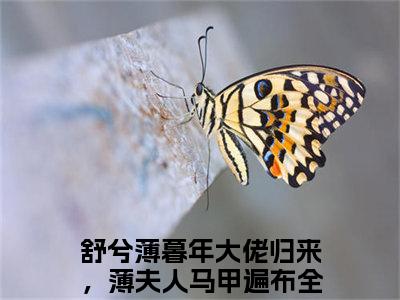 舒兮薄暮年（大佬归来，薄夫人马甲遍布全球）免费小说-大佬归来，薄夫人马甲遍布全球（舒兮薄暮年）最新章节完整版阅读