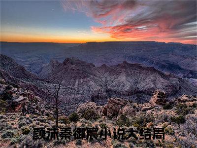 颜沫秦御宸小说免费阅读 颜沫秦御宸免费阅读无广告