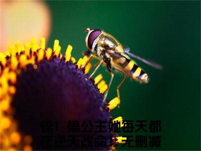 惊！嫡公主她每天都在逆天改命！在线阅读（宣明曜小说）全文免费阅读无弹窗大结局_宣明曜免费最新章节列表