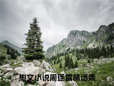 周廷霄林语柔大结局无广告 热门小说周廷霄林语柔全集免费阅读