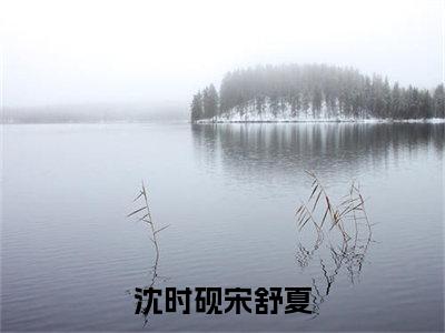 月光暗涌潮汐落小说（沈时砚宋舒夏）全文免费阅读-月光暗涌潮汐落精彩章节在线阅读